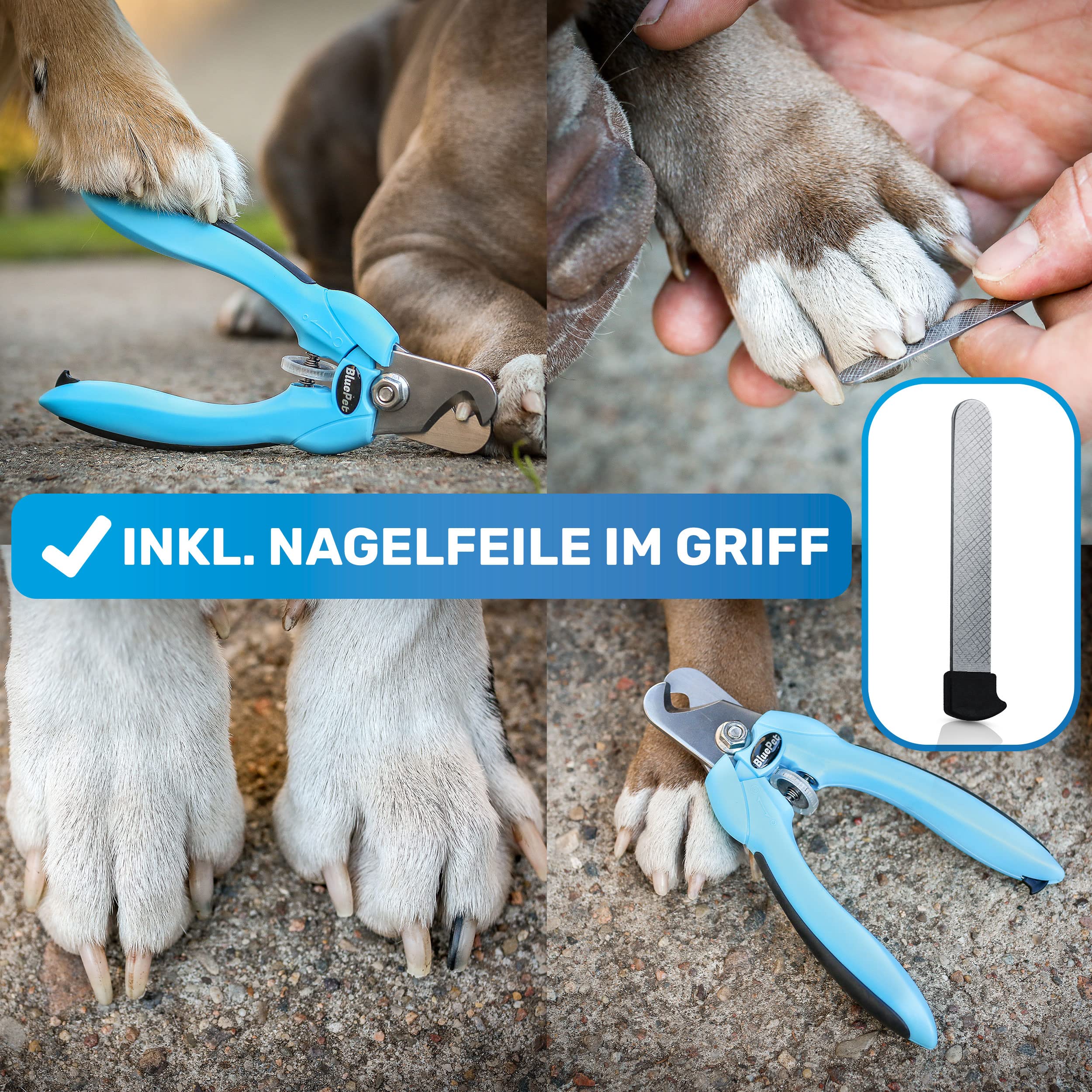 BluePet Krallenschere mit Schutz für Hunde & Katzen I Einsteigerfreundlich I Krallenzange für kleine & große Krallen + Krallenfeile im Griff - Alternative zu Nagelschere & Krallenschleifer