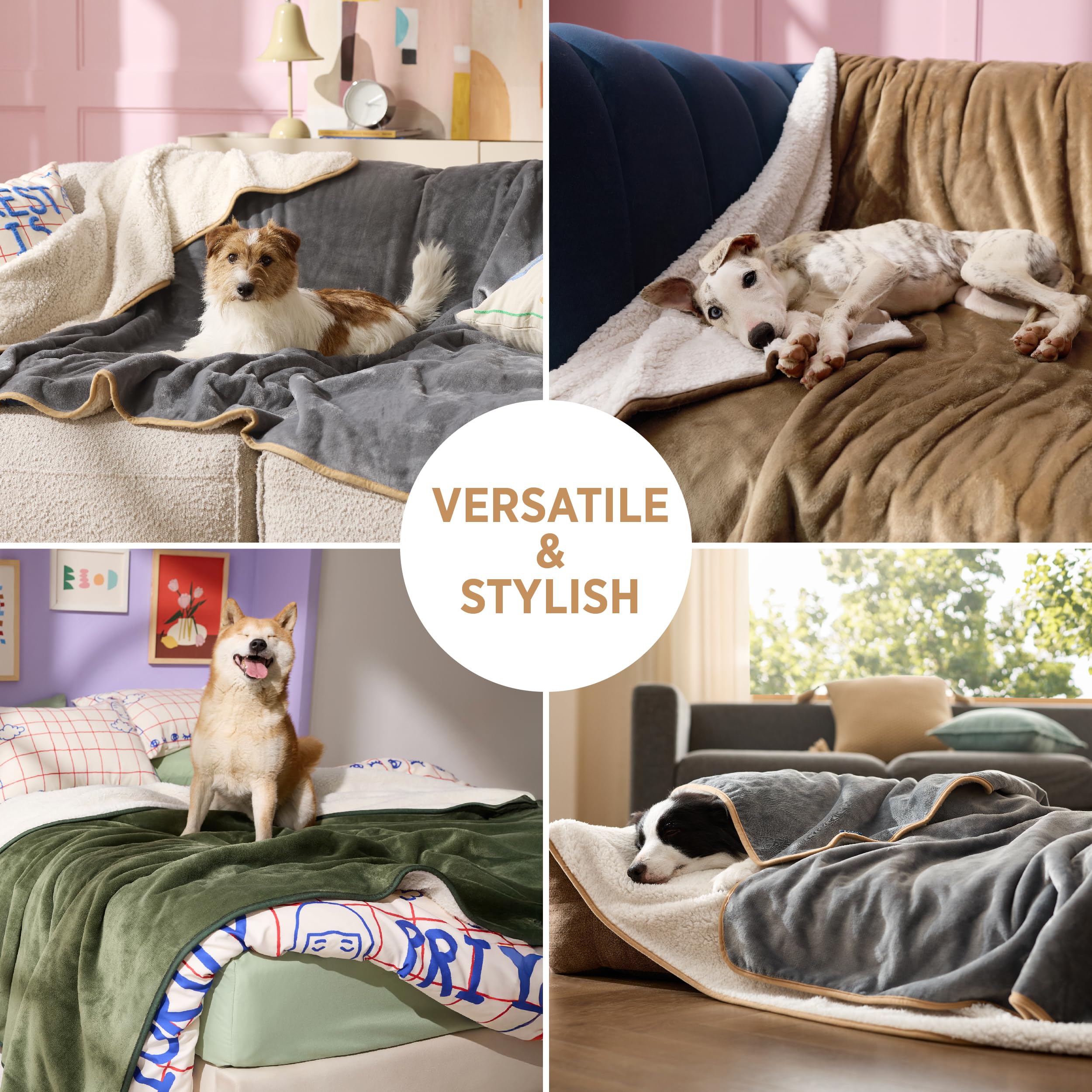 LE SURE wasserdichte Hundedecke mittelgroße Hunde - 100x80cm Hundedecke waschbar, Hundedecke Sofaschutz aus Sherpa Fleece, Katzendecke flauschig und weich, Grau