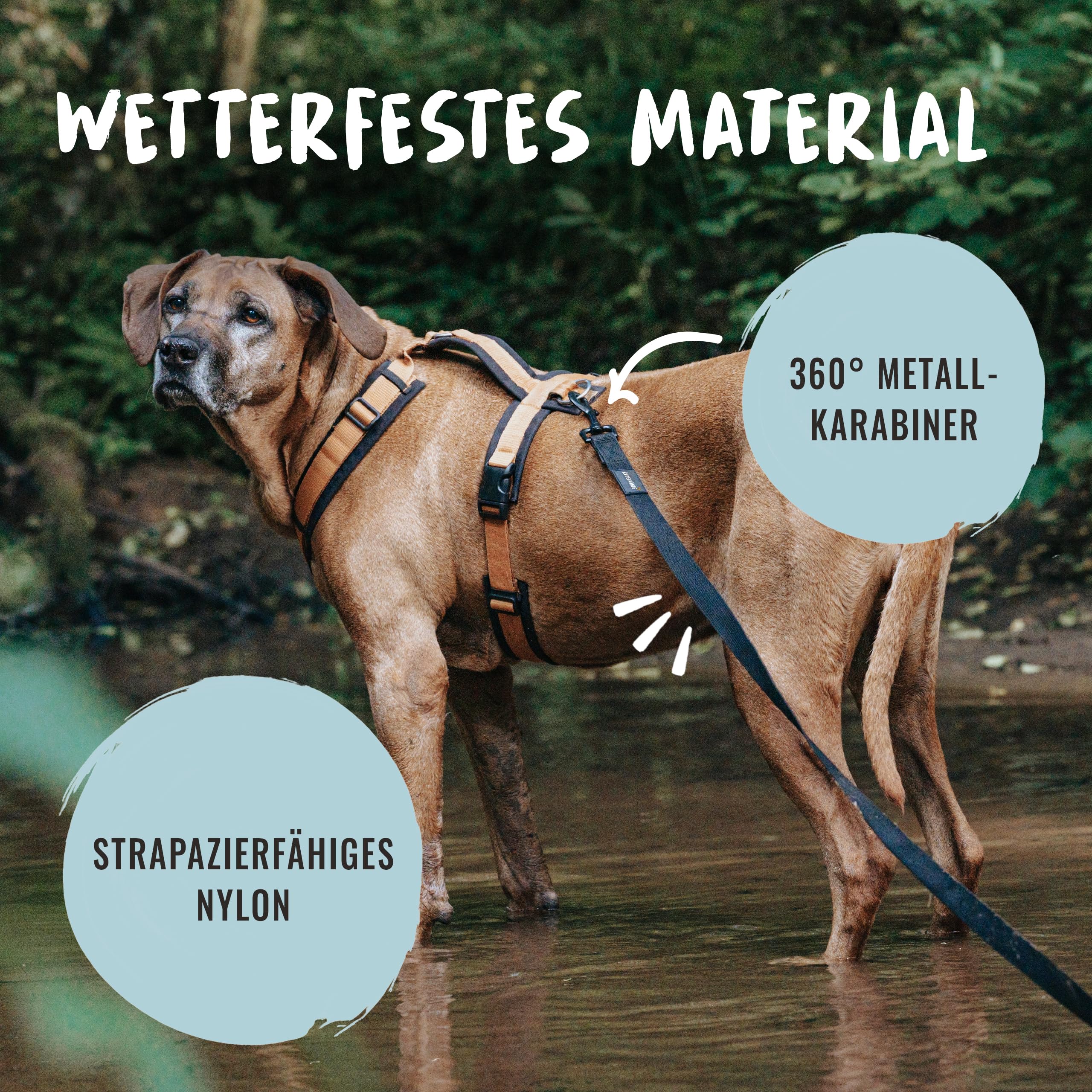 Rudelkönig Schleppleine 10m für Hunde - Robuste & wetterfeste Hundeleine für eine erfolgreiche Hundeerziehung - Mit Griffpolsterung