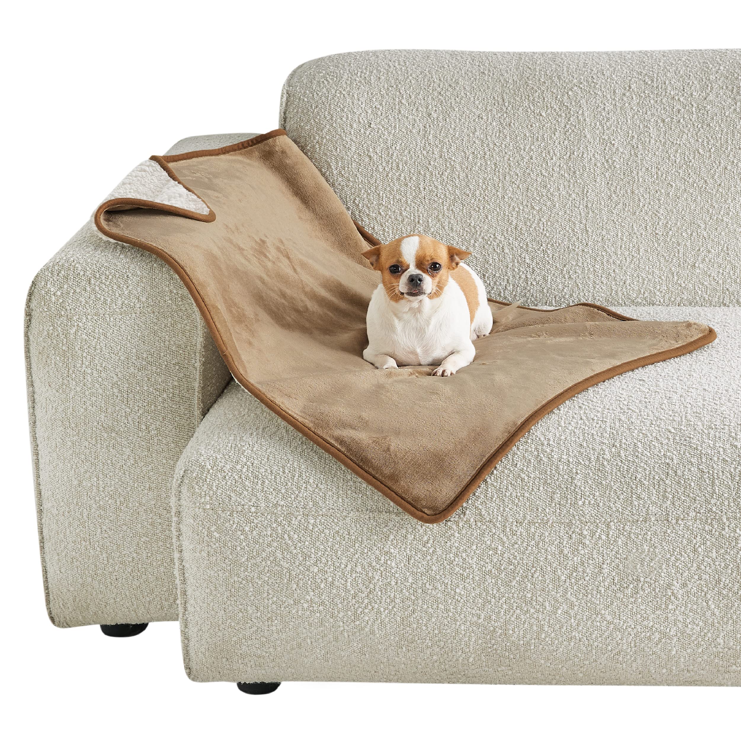 LE SURE wasserdichte Hundedecke mittelgroße Hunde - 100x80cm Hundedecke waschbar, Hundedecke Sofaschutz aus Sherpa Fleece, Katzendecke flauschig und weich, Grau