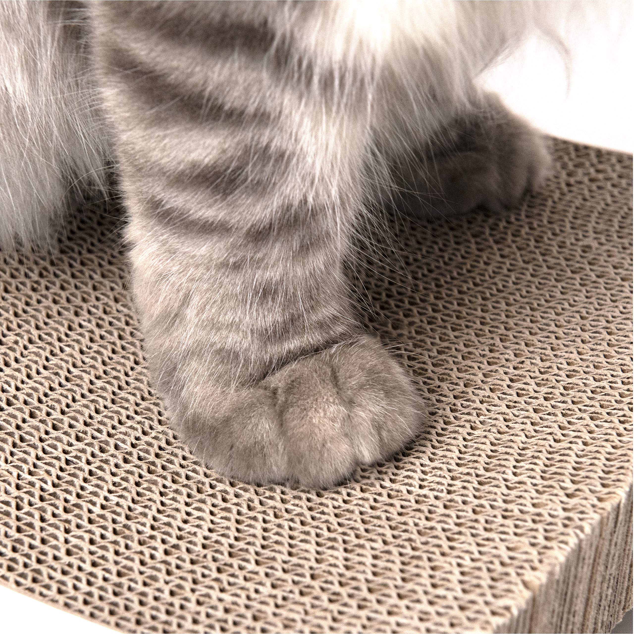 Katzen Kratzbrett aus Pappe – Kratzbretter Katze mit Wellenform, langlebige Kratzmatte als Möbelschutz für Sofa & Ecke, umkehrbare Kratzpappe für Wohnungskatzen (1er-Pack)